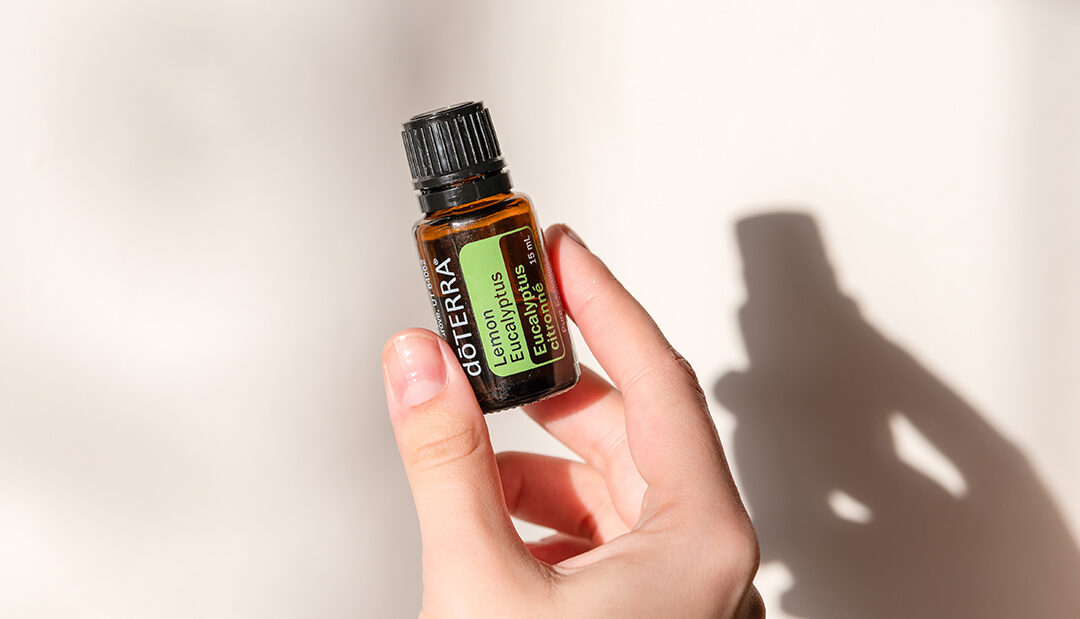 Eukaliptus cytrynowy produktem miesiąca w styczniu