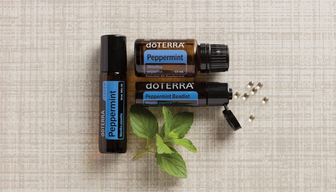 Mięta pieprzowa – orzeźwienie i energia