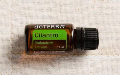 Kolendra i metale ciężkie