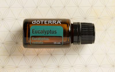 Eukaliptus – olejek Aborygenów