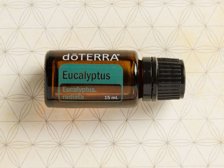 Eukaliptus – olejek Aborygenów