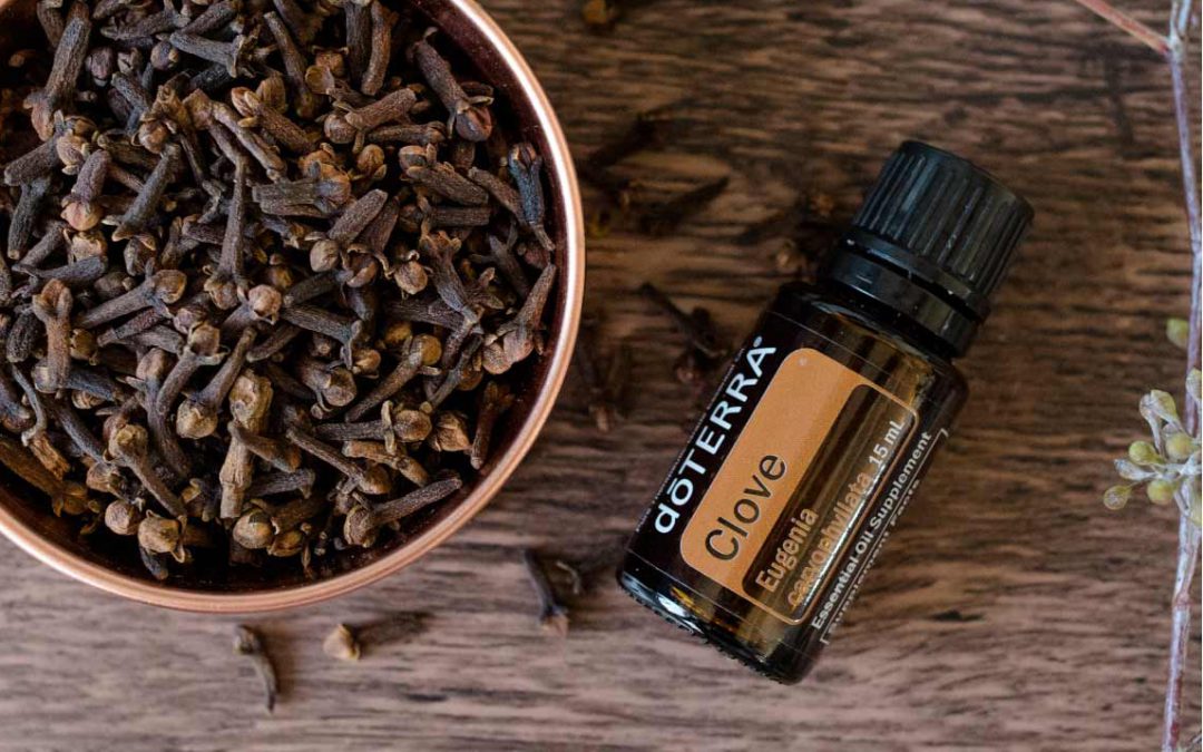 Goździk nie tylko w kuchni