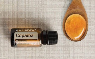 Copaiba – odpowiednik oleju z konopii
