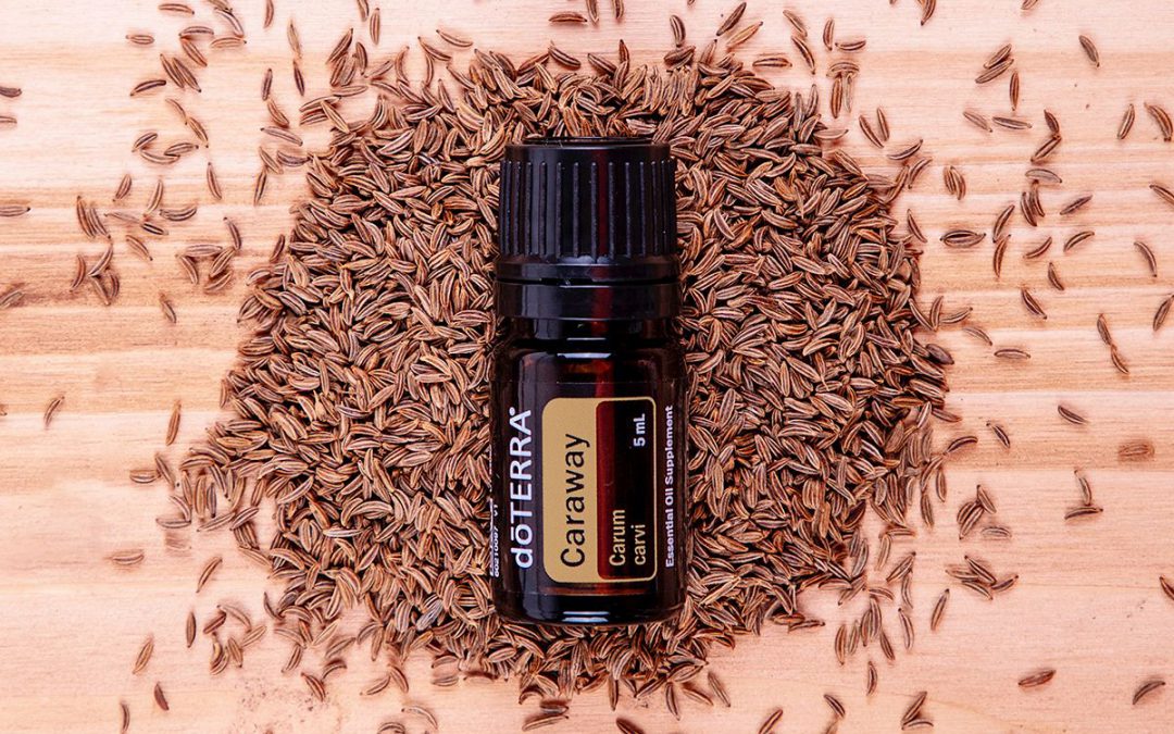 Rozkminić kminek – produkt miesiąca w maju